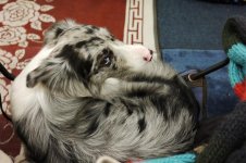 P1020547 - Version 2.jpg