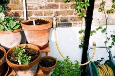 35RD Light & Shadow.jpg