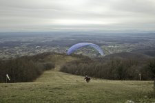 flight (1 of 1).jpg
