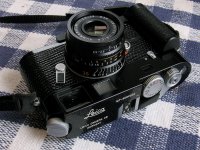 RecoveredM7BlackLizard.jpg