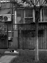 Scan-100918-0008.jpg