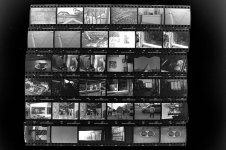 Contact_sheet.jpg