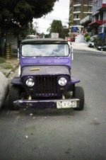 purple-jeep-pinhole-em.jpg