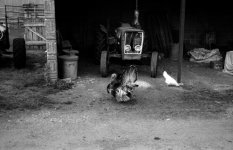 scan0020.jpg
