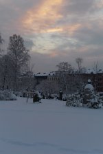 L1000984.JPG