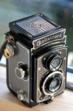DSC_0410.JPG
