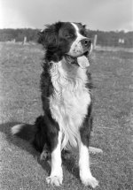 Scan-110504-0013.jpg