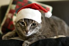 sampsonclaus_04.jpg