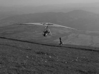 5takeoff.jpg
