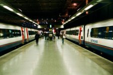 94990010.jpg