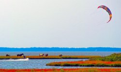 Assateaque-Island.jpg