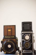 Car Festival (1 of 1).jpg