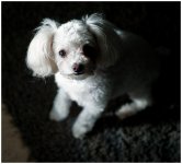 winnhaircut2.jpg