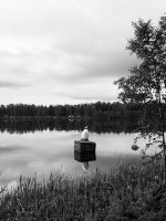 20110618-_6184210-1.jpg