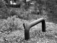 20110618-_6184213-2.jpg