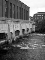 20110618-_6184217-3.jpg