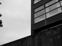 20110618-_6184231-5.jpg