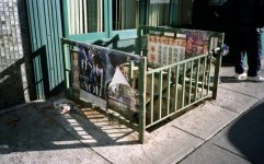 img448-1.jpg