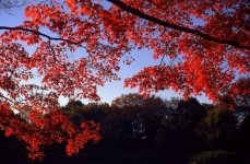 img823.jpg