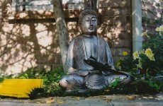 Buddha-with-Alligator.jpg