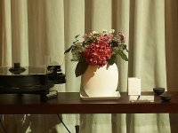 L1000421 - Summicron f2@f8 - center.jpg