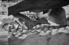 98720004-C1 1 (1).jpg