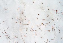 snow-1.jpg