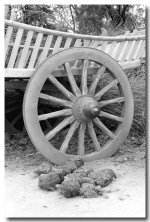Wagon,-Number-Two copy.jpg