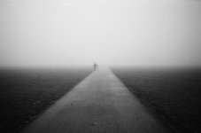 98720019-C1 1 (1).jpg