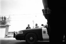 cop1.jpg