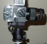L1010407.jpg