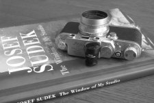 iiif cv 28-3.5 Sudek.jpg