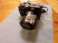 R-D1S moonlight Gecko.jpg