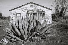 518362-R1-E006_006 RFF.jpg