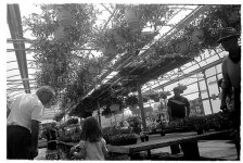 nursery.jpg