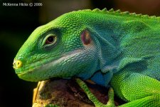 CRW_8275.jpg