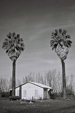 518362-R1-E013_013 RFF.jpg