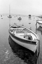 Image002019.jpg
