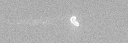 Schermata 2017-02-16 alle 13.38.19.jpg