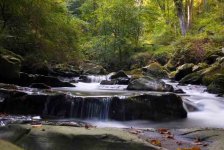 Balaglass Glen.jpg