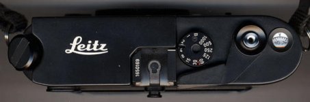 1650169.jpg