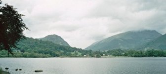 imm016_N16.jpg