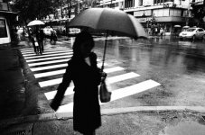 Rainy_Day_by_bQw.jpg