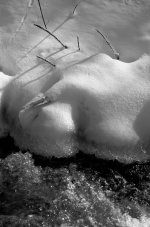 Odalisque.jpg