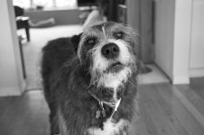 L1000223-Edit.jpg