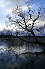 _EPS2007 2 copy.jpg