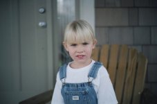test40-1.4-web.jpg