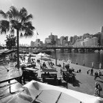 MFBW123_001.jpg
