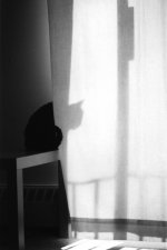 cat01-1.jpg