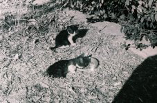 Sisters_F1000004.jpg